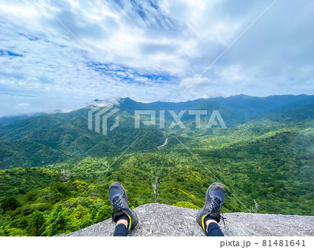 屋久島_白谷雲水峡_太鼓岩と絶景_主観視点 81481641