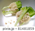 ピーマンの芯、種 81481859