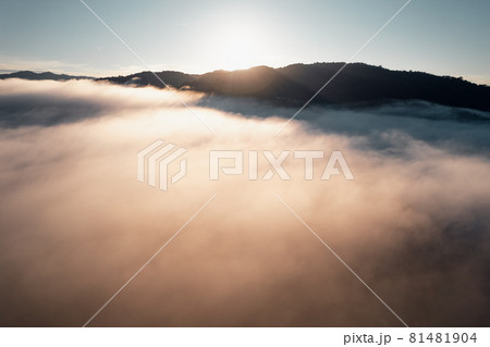 morning fog in the mountains rainy season morning fog in the mountains rainy season 81481904