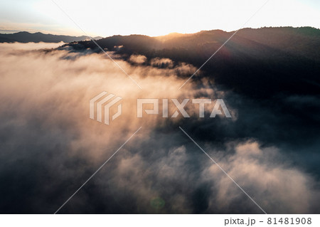 morning fog in the mountains rainy season 81481908