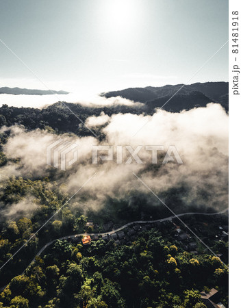 morning fog in the mountains rainy season morning fog in the mountains rainy season 81481918