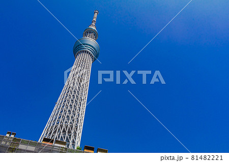 【東京の都市風景】東京スカイツリーと都市風景 81482221