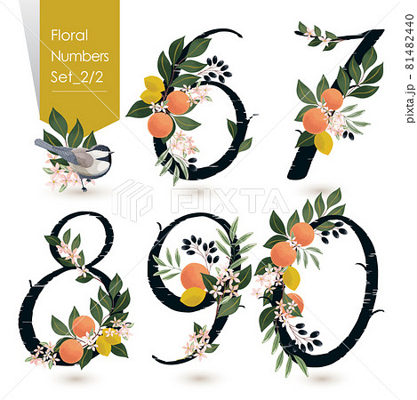 Vector illustration of floral numbers collection. A set of flowers, fruits and numbers for wedding, invitations and birthday cards Vector illustration of floral numbers collection. A set of flowers, fruits and numbers for wedding, invitations and birthday cards 81482440