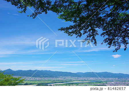 徳島県吉野川市　チェリーロードから善入寺島・阿波市方面を望む 81482657