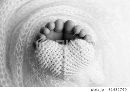 The feet of a newborn baby are wrapped in a knitted blanket. The fingers of a newborn baby are holding a white knitted heart. Black and white photo. The feet of a newborn baby are wrapped in a knitted blanket. The fingers of a newborn baby are holding a white knitted heart. Black and white photo. 81482740