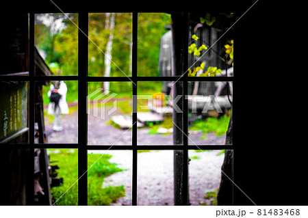 暗い部屋から見える新緑 81483468