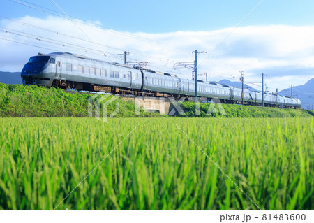 田園風景と787系特急電車（JR九州） 81483600