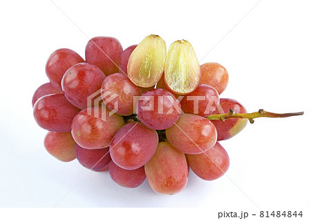 ぶどう(サニードルチェ) ぶどう(サニードルチェ) 81484844