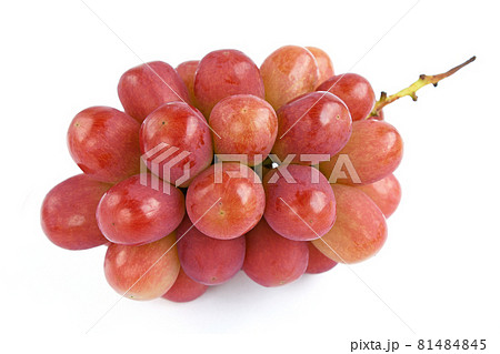 ぶどう（サニードルチェ） 81484845