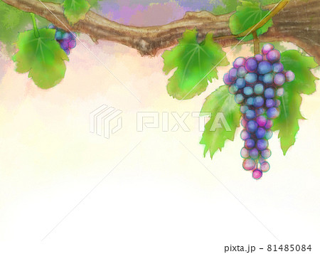 水彩調の葡萄の枝フレーム カードー秋のイラスト素材
