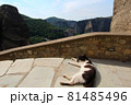 メテオラの教会にいた野良猫 81485496