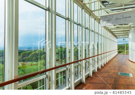 ぎふワールド・ローズガーデン、花のタワー展望室〈岐阜県可児市〉 81485545