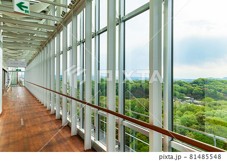 ぎふワールド・ローズガーデン、花のタワー展望室〈岐阜県可児市〉 81485548