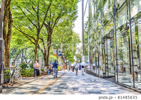 東京渋谷の都市風景 表参道 東京渋谷の都市風景 表参道 81485635