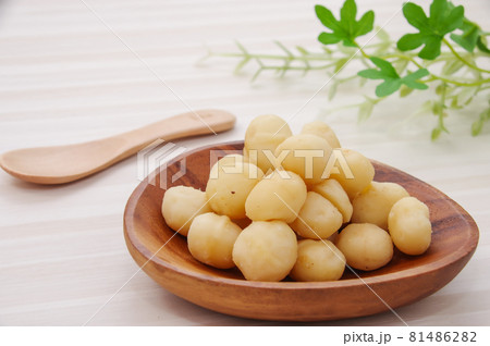 マカダミアナッツ 81486282