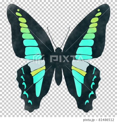 水彩風格的藍瓶圖 81486512