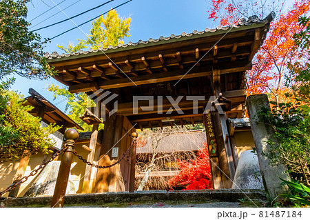 秋の定光寺〈愛知県瀬戸市〉 秋の定光寺〈愛知県瀬戸市〉 81487184