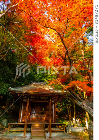秋の定光寺〈愛知県瀬戸市〉 秋の定光寺〈愛知県瀬戸市〉 81487271