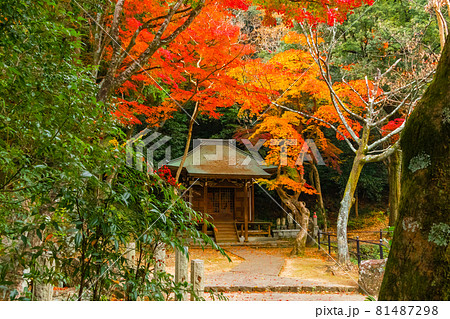 秋の定光寺〈愛知県瀬戸市〉 81487298