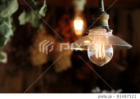 エジソン電球 81487521