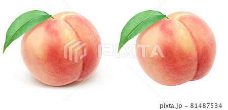 桃 もも イラスト リアル セット 10 81487534