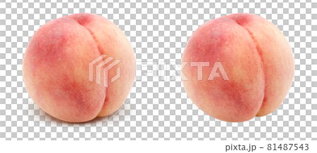 桃 もも イラスト リアル セット 2 81487543