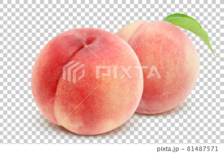 Peach peach illustration real set 81487571