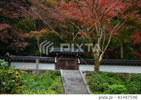 清閑寺の紅葉 清閑寺の紅葉 81487596