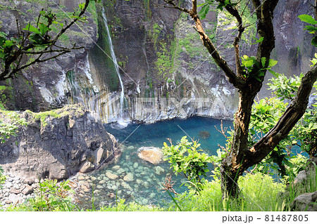 【北海道】知床　湯ノ華の滝（男の涙） 81487805