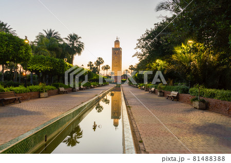 Minaret of Koutoubia Mosque at sunrise in Marrakech, Morocco. 81488388