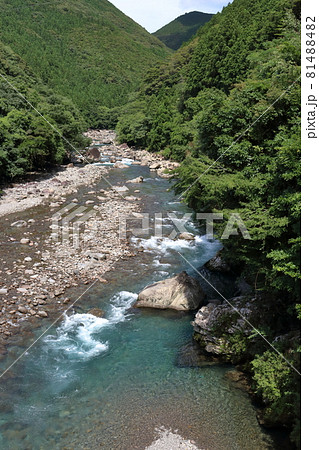 二股橋から小川川を眺める 上流 夏 (高知県 北川村) 二股橋から小川川を眺める 上流 夏 (高知県 北川村) 81488482