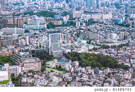 日本の東京都市景観　渋谷区広尾の街並みなどを望む 81489743