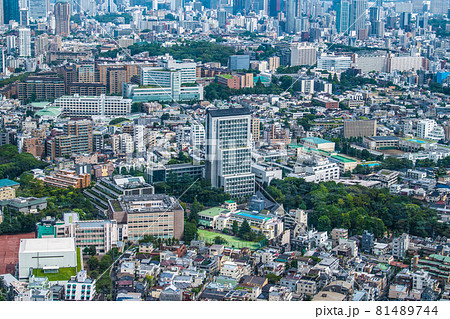 日本の東京都市景観　渋谷区広尾の街並みなどを望む 81489744