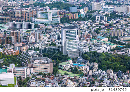 日本の東京都市景観　渋谷区広尾の街並みなどを望む 81489746