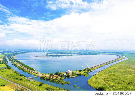 夏の早朝の渡良瀬遊水地（栃木県栃木市） 81490017