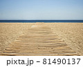 Wooden plank path on sand on the beach on a lonely sunny day 81490137