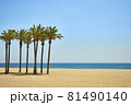 palm trees on a sandy beach over blue sky and calm sea 81490140