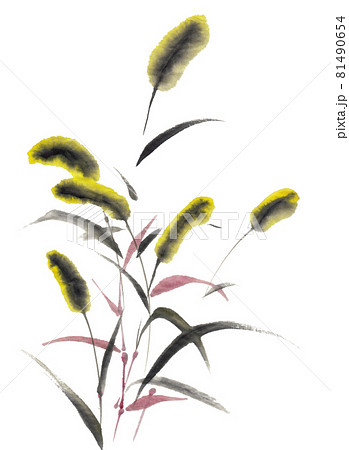 水墨画技法で描かれたエノコログサ緑のイラスト素材 [81490654] - PIXTA