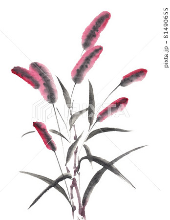 水墨画技法で描かれたエノコログサ赤 81490655