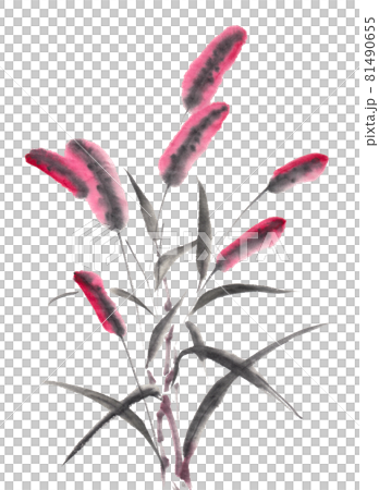 水墨画技法で描かれたエノコログサ赤 81490655