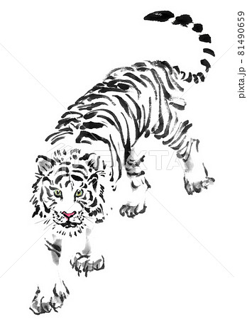 水墨画技法で描かれた前向きの白虎 81490659