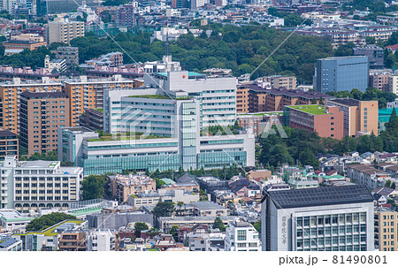 日本の東京都市景観　渋谷区広尾の街並みなどを望む(日本赤十字医療センター) 81490801