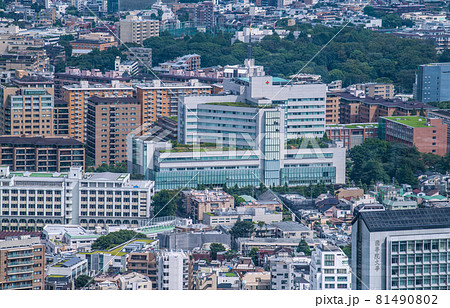 日本の東京都市景観 渋谷区広尾の街並みなどを望む(日本赤十字医療センター) 日本の東京都市景観 渋谷区広尾の街並みなどを望む(日本赤十字医療センター) 81490802