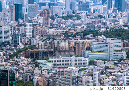 日本の東京都市景観　渋谷区広尾の街並みなどを望む(日本赤十字医療センター) 81490803
