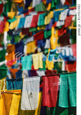 Buddhist prayer flags lunga in McLeod Ganj, Himachal Pradesh, India 81491482