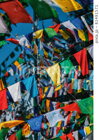 Buddhist prayer flags lunga in McLeod Ganj, Himachal Pradesh, India 81491571