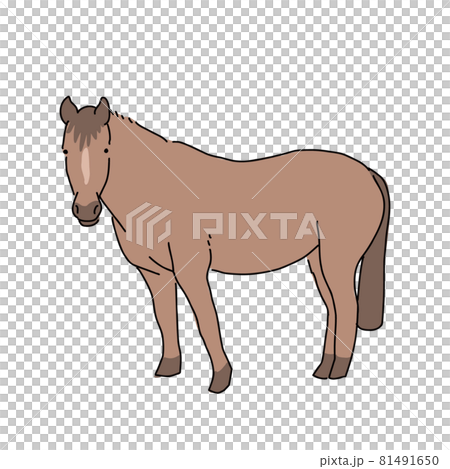 馬のシンプル全身イラストのベクター画像のイラスト素材