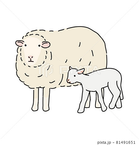 羊の親子の全身 シンプルなベクターイラストのイラスト素材