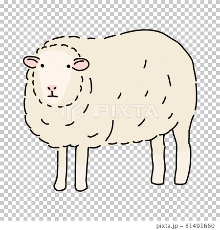 羊の全身 シンプルなイラスト 牧場にてのイラスト素材