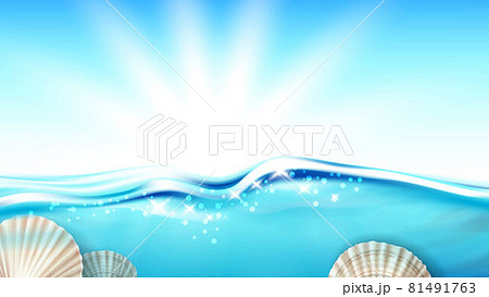 Scallop Mollusk In Ocean Water Copy Space Vector Scallop Mollusk In Ocean Water Copy Space Vector 81491763